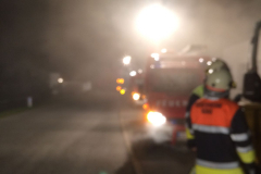 WhatsApp Image 2017-10-21 at 20.38.59 (1)