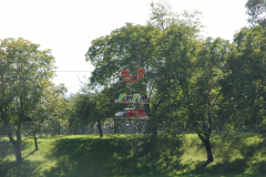 DSC_0355